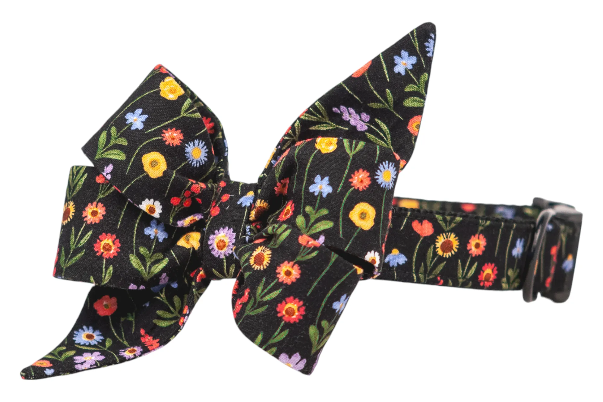 Blooms on Black Belle Bow Dog Collar