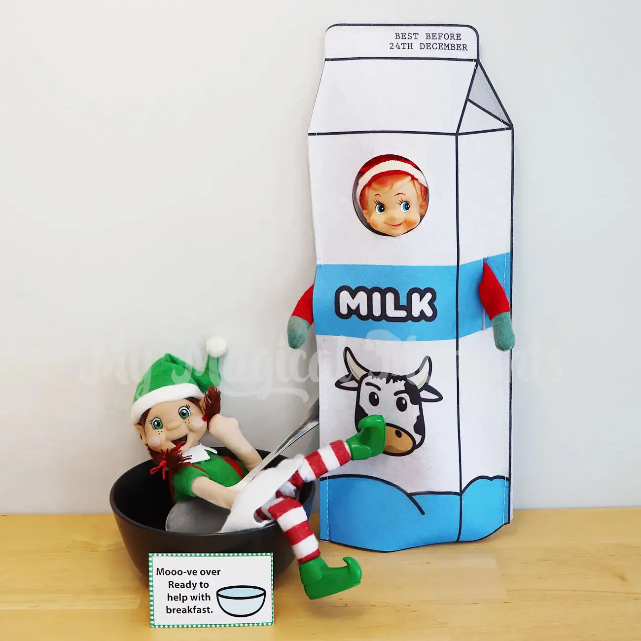 Costume - Milk Carton