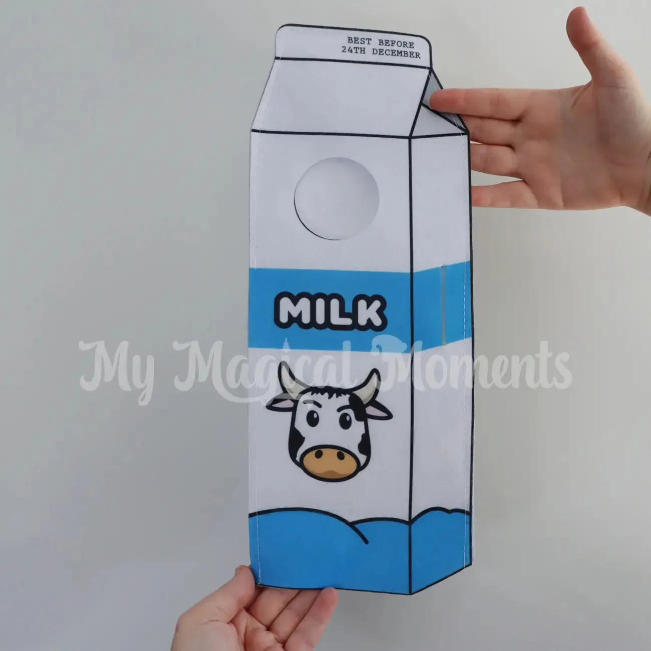 Costume - Milk Carton