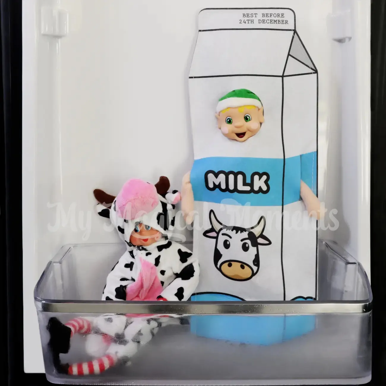 Costume - Milk Carton