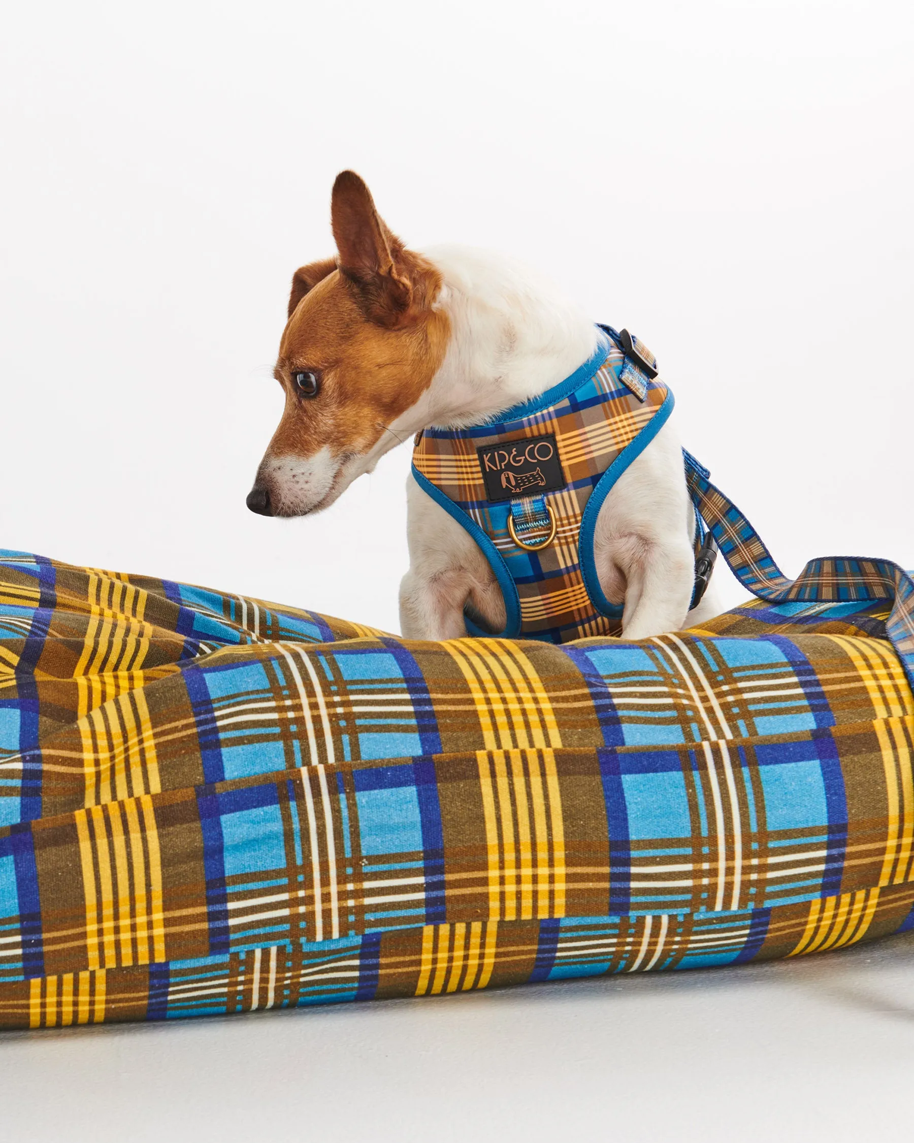 Cosy Tartan Dog Bed