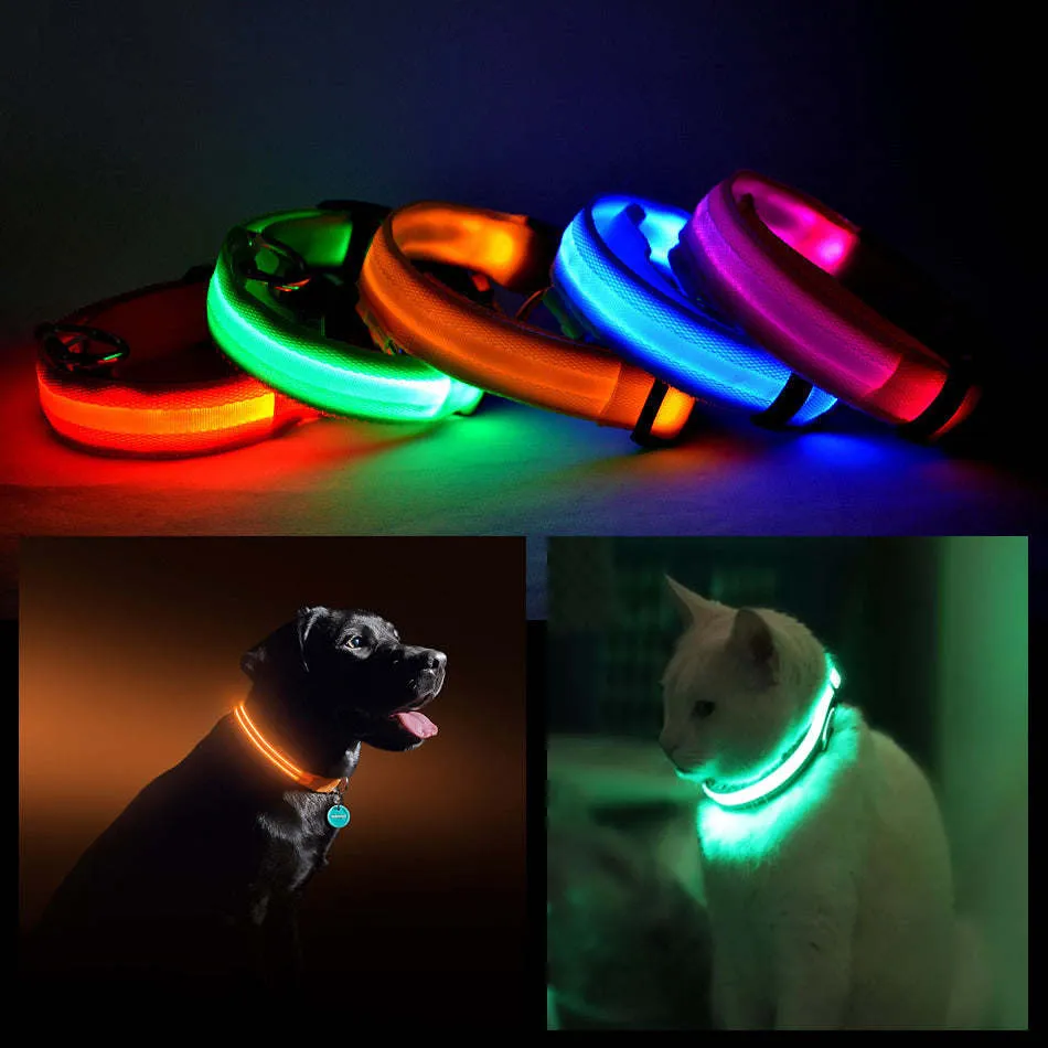 LED PET Safety Halo Style Collar