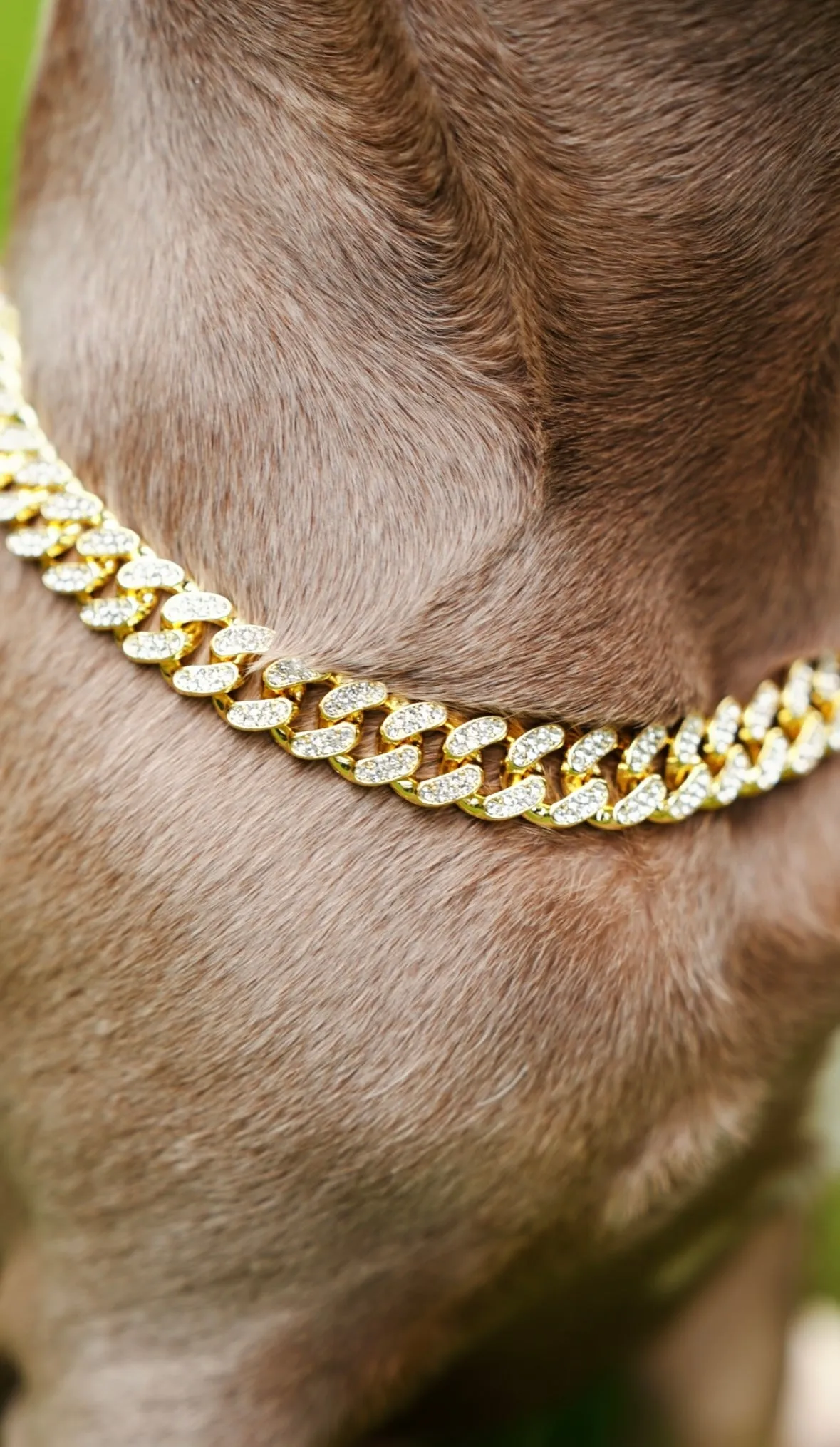 Luxury Cuban Dog Chain Collar