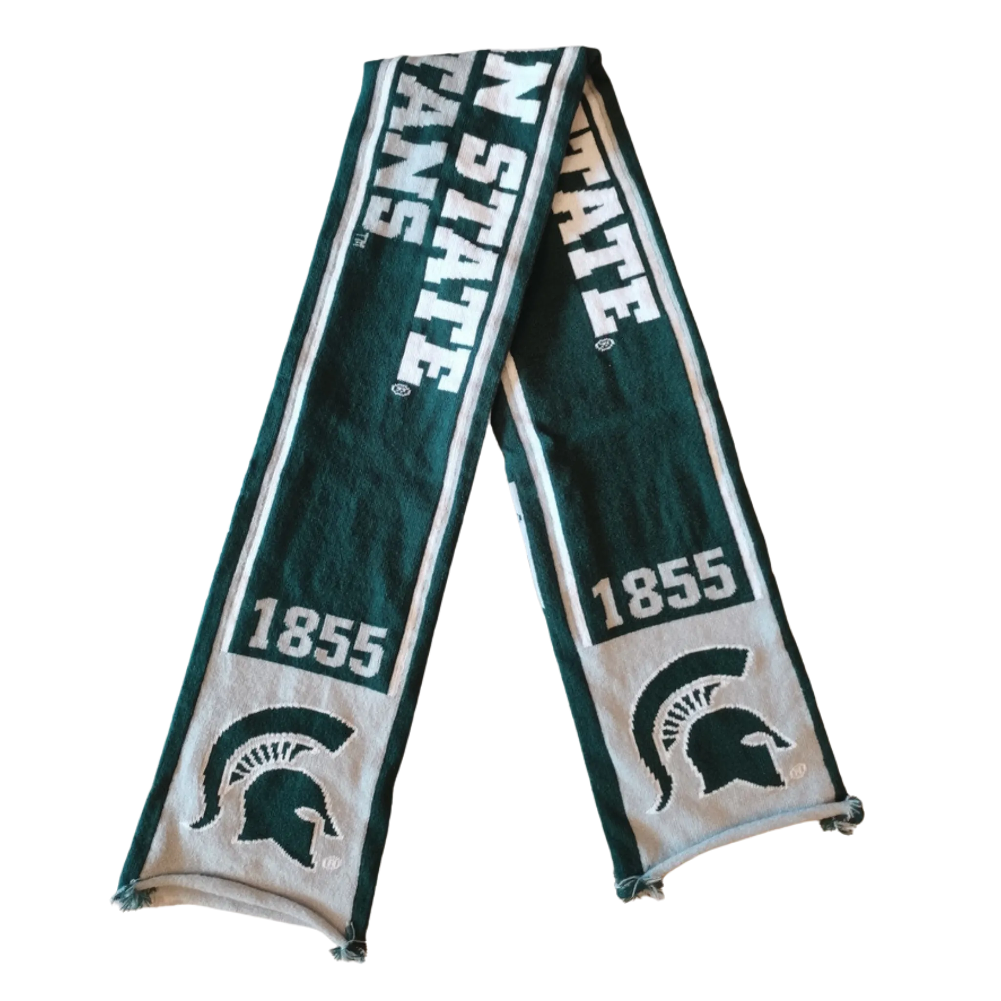 Michigan State Thematic Scarf