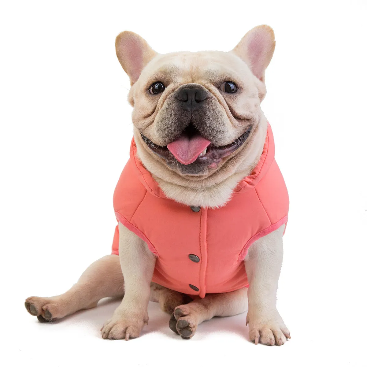 Pet clothes dog bulldog windproof cotton vest