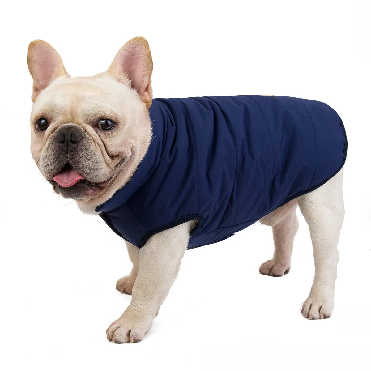 Pet clothes dog bulldog windproof cotton vest