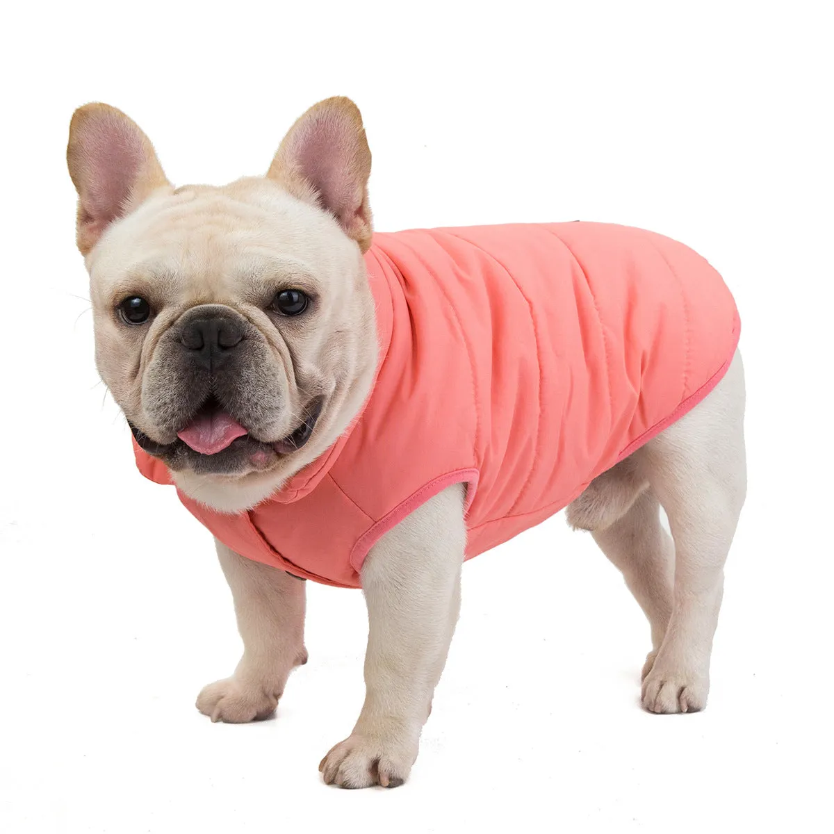 Pet clothes dog bulldog windproof cotton vest