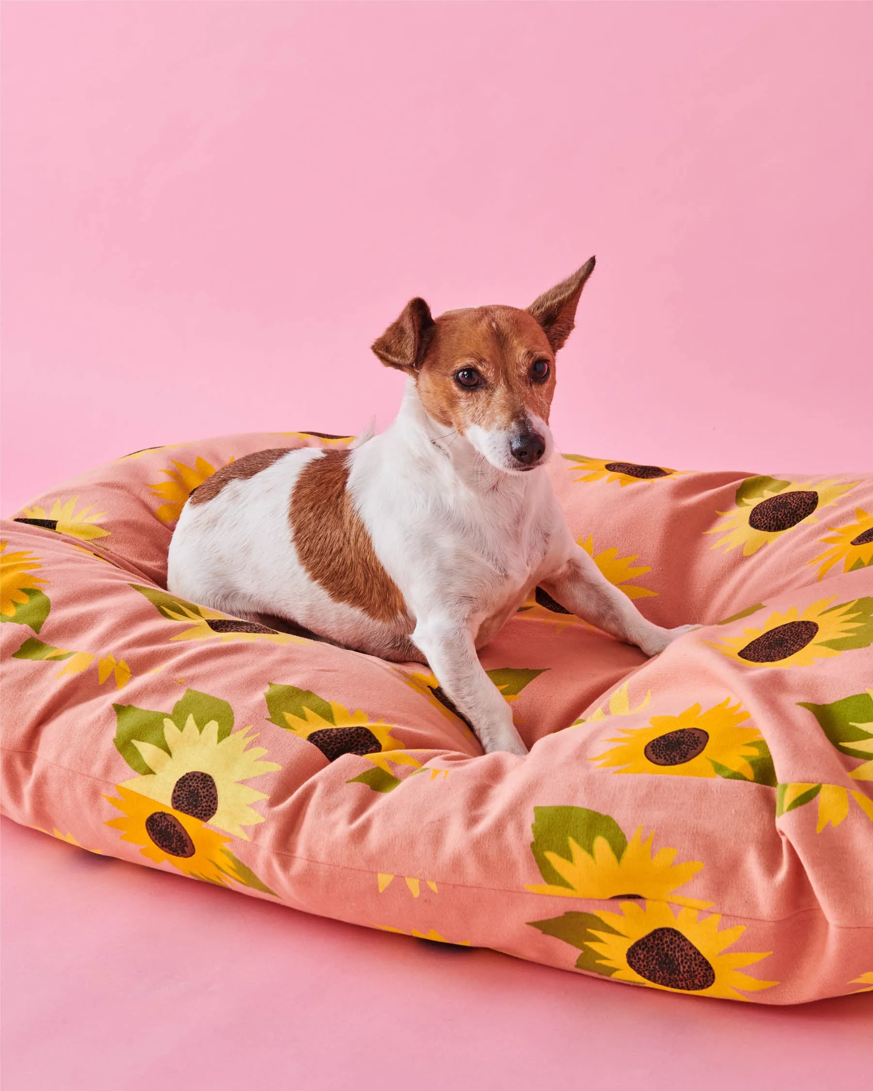 Sunflower Sunshine Dog Bed