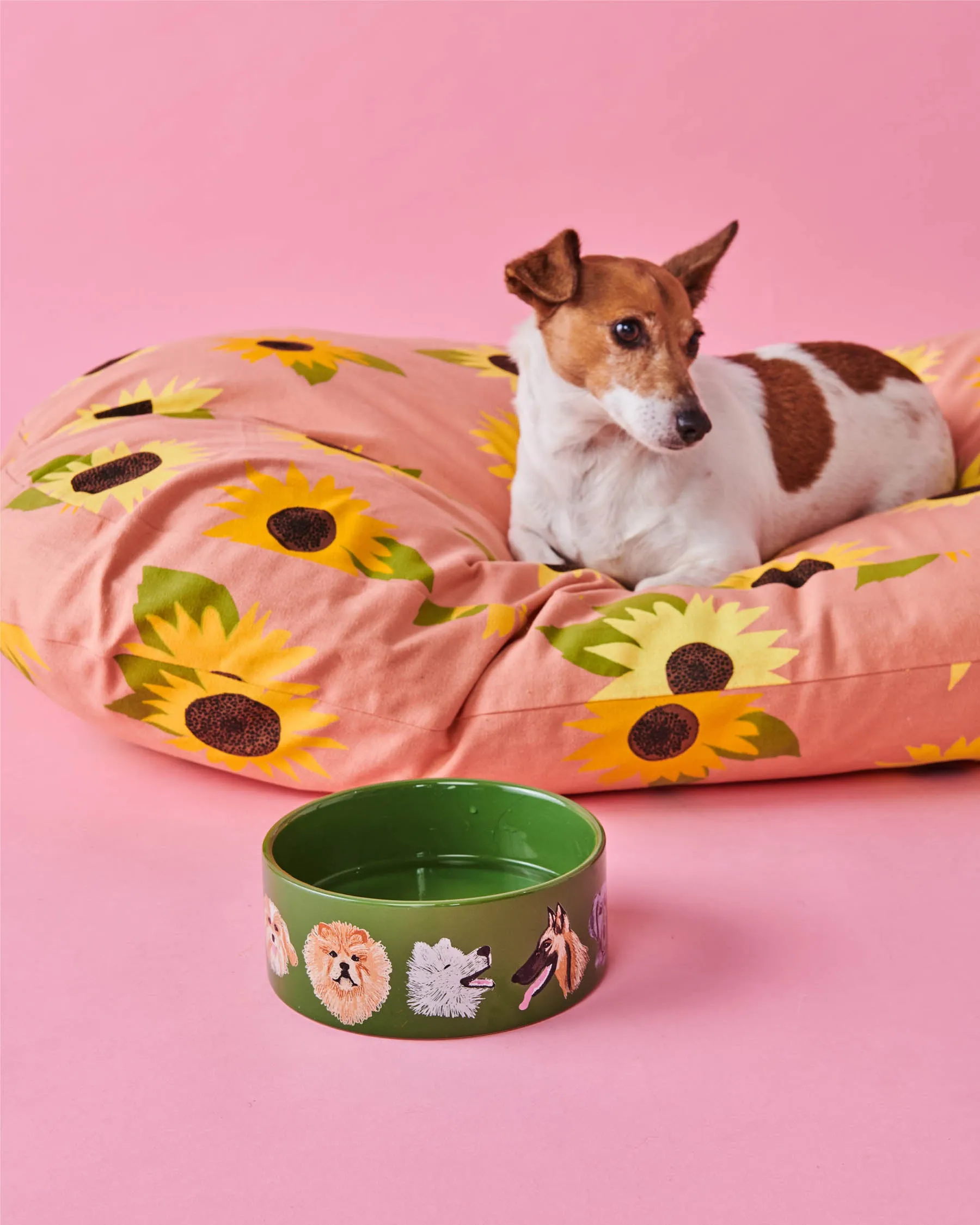 Sunflower Sunshine Dog Bed